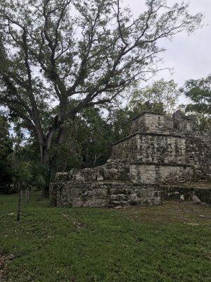 Zona Arqueológica de Muyil by null