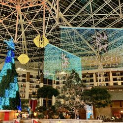 Ice! at Gaylord Texan