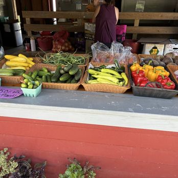 Moses Vegetable Stand - Zuchinni, yellow squash, peppers and garlic scraps! - Fruits & Veggies Near Me - Eagle Bridge, New York Moses Vegetable Stand - Zuchinni, yellow squash, peppers and garlic scraps! - Fruits & Veggies Near Me - Eagle Bridge, New York
