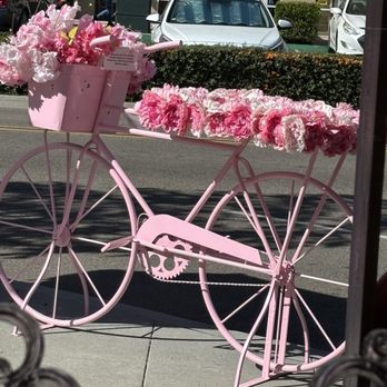 Pink Rose Cafe - Coffee & Tea Near Me - La Mesa, California Pink Rose Cafe - Coffee & Tea Near Me - La Mesa, California