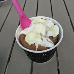 Amazing frozen yogurt!!! Amazing frozen yogurt!!!