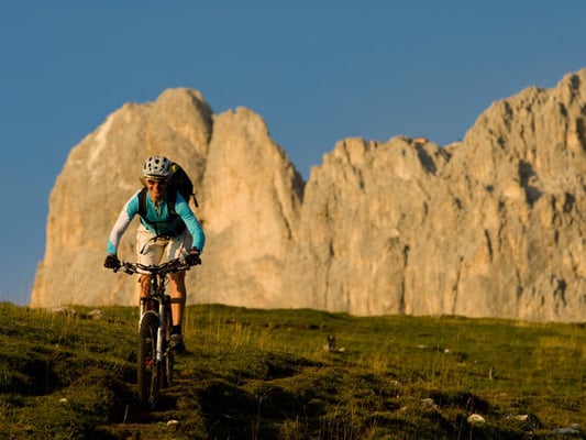 Hotel Pfösl by null