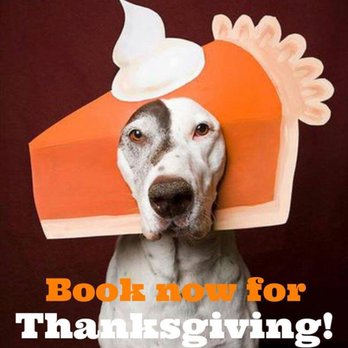 Little Paws Pet Spa - HEADS UP! Thanksgiving/Holiday appointments fill up fast in advance. PREBOOK YOURS NOW! - Pet Groomers Near Me - Boothwyn, Pennsylvania Little Paws Pet Spa - HEADS UP! Thanksgiving/Holiday appointments fill up fast in advance. PREBOOK YOURS NOW! - Pet Groomers Near Me - Boothwyn, Pennsylvania