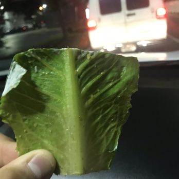 Wendy's - Piece of Lettuce - Burgers Near Me - Tampa, Florida Wendy's - Piece of Lettuce - Burgers Near Me - Tampa, Florida