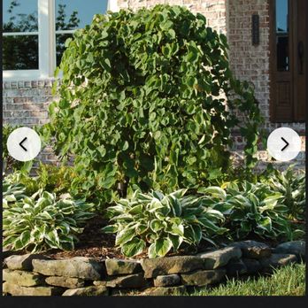 The Next Generation Yard And Tree Service - a picture of a garden - Landscaping Near Me - Jordan, New York The Next Generation Yard And Tree Service - a picture of a garden - Landscaping Near Me - Jordan, New York