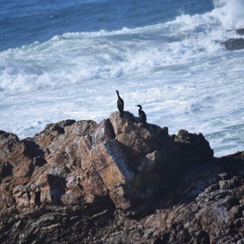 Piedras Blancas Light Station - December 2016 - Landmarks & Historical Buildings Near Me - San Simeon, California