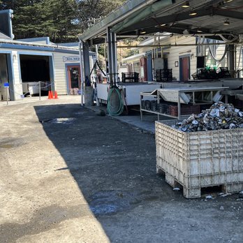 Hog Island Oyster - Seafood Near Me - Marshall, California Hog Island Oyster - Seafood Near Me - Marshall, California