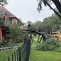 Photo of Garrett Tree Services