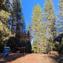 Cal-Sierra Tree Farm - Nice dirt walking trail around the property