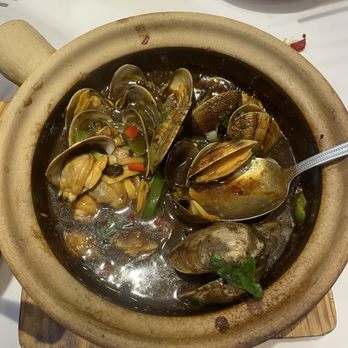 Zhe Zhe Pot - Claypot Clams - Noodles Near Me - Brooklyn, New York Zhe Zhe Pot - Claypot Clams - Noodles Near Me - Brooklyn, New York