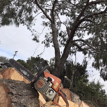 Artistic Arborist - a chainsaw on a tree stump - Tree Services Near Me - Ramona, California