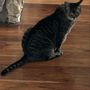 Photo of OnPoint Veterinary Urgent Care