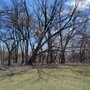 LaBagh Woods
