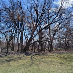 LaBagh Woods