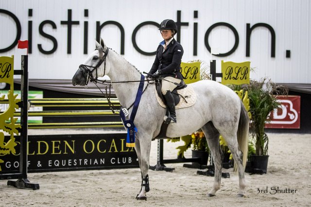 Punchestown Stable - equestrian in Lexington, KY