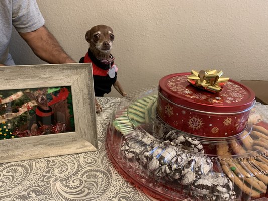 inland valley veterinary specialists