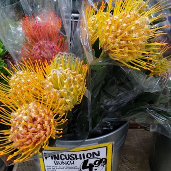 Trader Joe's - Pretty Proteas! - Grocery Near Me - Draper, Utah Trader Joe's - Pretty Proteas! - Grocery Near Me - Draper, Utah