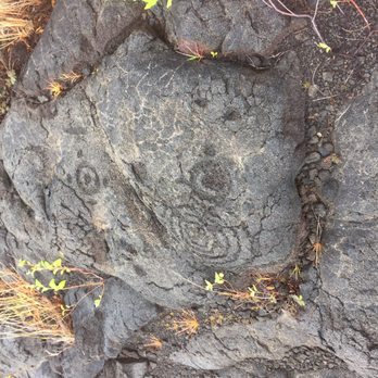 Pu'u Loa Petroglyphs - Curious circles. - Hiking Near Me - Mountain View, Hawaii Pu'u Loa Petroglyphs - Curious circles. - Hiking Near Me - Mountain View, Hawaii