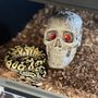 Photo of Beasts of Prey Reptiles