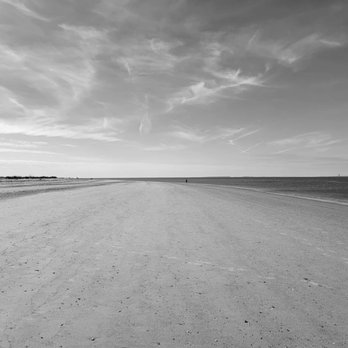 Botany Bay Plantation - Parks Near Me - Edisto Island, South Carolina