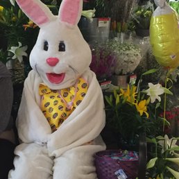 Easter Bunny visits Cub Foods today! Dozen eggs $ .79 Easter Bunny visits Cub Foods today! Dozen eggs $ .79