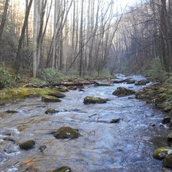 Western North Carolina Fish Hunter