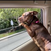 petco grooming pembroke