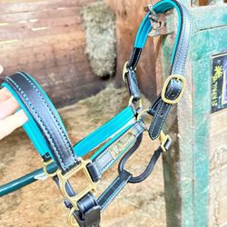 Tack Shack Of Ocala - This bridle is a cob size with teal padding and light blue stitching- perfect colors for a dark bay.
