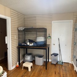The Casual Cat Cafe