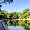 Conservatory Water gift card