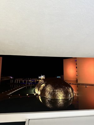 Cielomar Rooftop by null