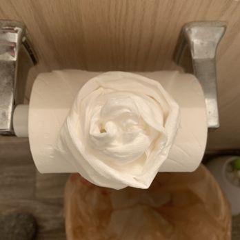 Ladybug - They even made my tissues and toilet paper into flowers. Cute touch! - Home Cleaning Near Me - Las Vegas, Nevada