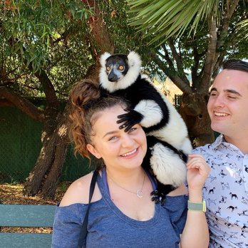 Monterey Zoo - Zoos Near Me - Salinas, California Monterey Zoo - Zoos Near Me - Salinas, California