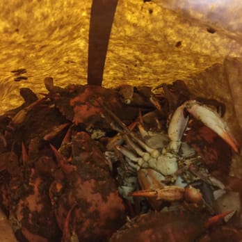 Crabs Down Under - Hot, fresh and delicious crabs at Crabs Down Under - Seafood Near Me - Baltimore, Maryland