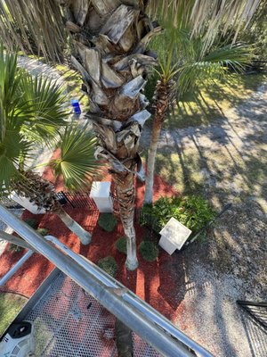 AAA Lawn Care & Landscaping