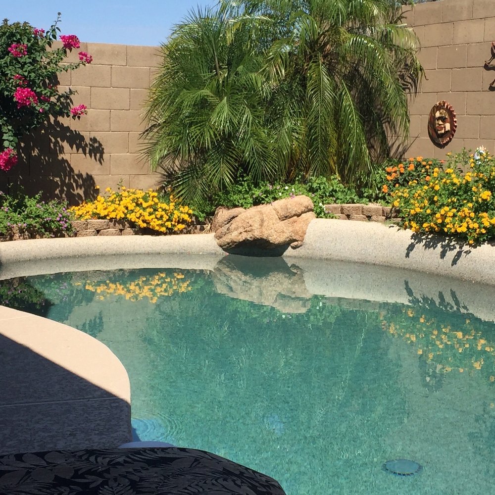 Mesa Clean Pools - Beautiful pool! - Pool Cleaners Near Me