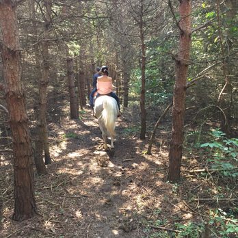 D & K Ranch - Horseback Riding Near Me - Lodi, New York D & K Ranch - Horseback Riding Near Me - Lodi, New York