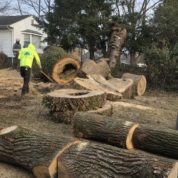 Marquez Tree Services - Tree Services Near Me - Silver Spring, Maryland Marquez Tree Services - Tree Services Near Me - Silver Spring, Maryland