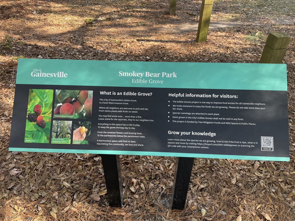 Smokey Bear Park Image