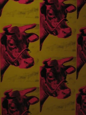 The Andy Warhol Museum by null