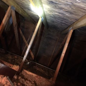 DCS Cleaning Services - Mold in a attic - Carpet Cleaning Near Me - Highland Park, Illinois