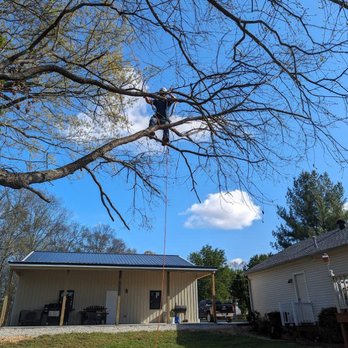 Tree Stewards - Tree Services Near Me