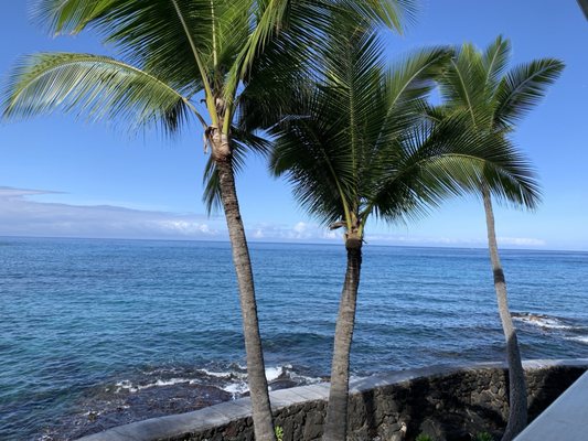 Kona Tiki Hotel by null