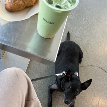 mu.sō coffee - Guava Matcha and vegan croissant with my baby - Breakfast & Brunch Near Me - Los Angeles, California mu.sō coffee - Guava Matcha and vegan croissant with my baby - Breakfast & Brunch Near Me - Los Angeles, California