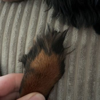 PetSmart - Pet Stores Near Me - Suffolk, Virginia