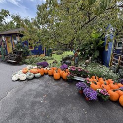 Beech Spring Gift Shop - Lovely