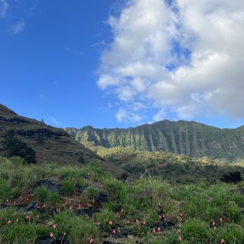 Mt Ka'ala Trail - view from the parking area - Hiking Near Me - Waianae, Hawaii