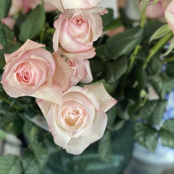 Gentle Beast Flower - Rose by any other name - Florists Near Me - Honolulu, Hawaii