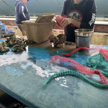 Tomales Bay Oyster Company - Seafood Markets Near Me - Marshall, California Tomales Bay Oyster Company - Seafood Markets Near Me - Marshall, California