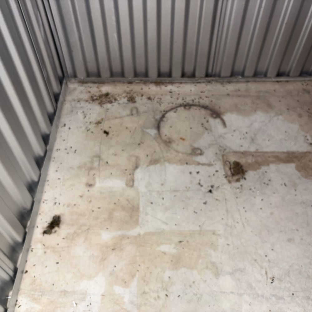 CubeSmart Self Storage - Mouse droppings - Self Storage Near Me - Brooklyn, New York